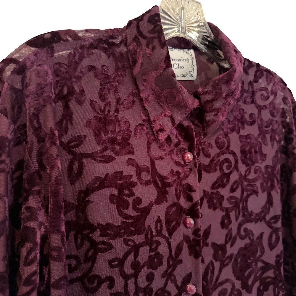 Dressing‎ Clio Velvet Whimsigoth Burnout Blouse Women's M Burgundy Y2K Witchy